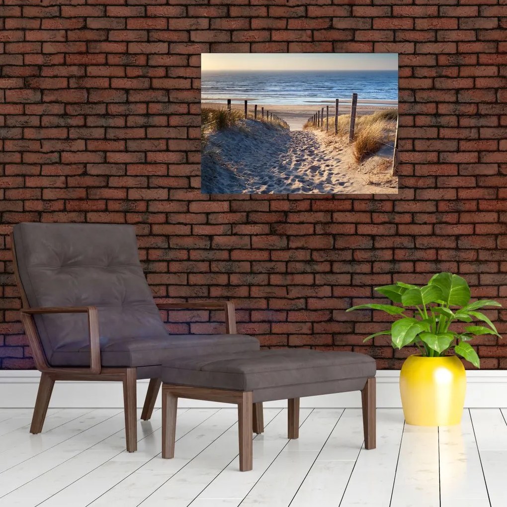 Obraz - Droga na plażę Morza Północnego, Holandia (70x50 cm)