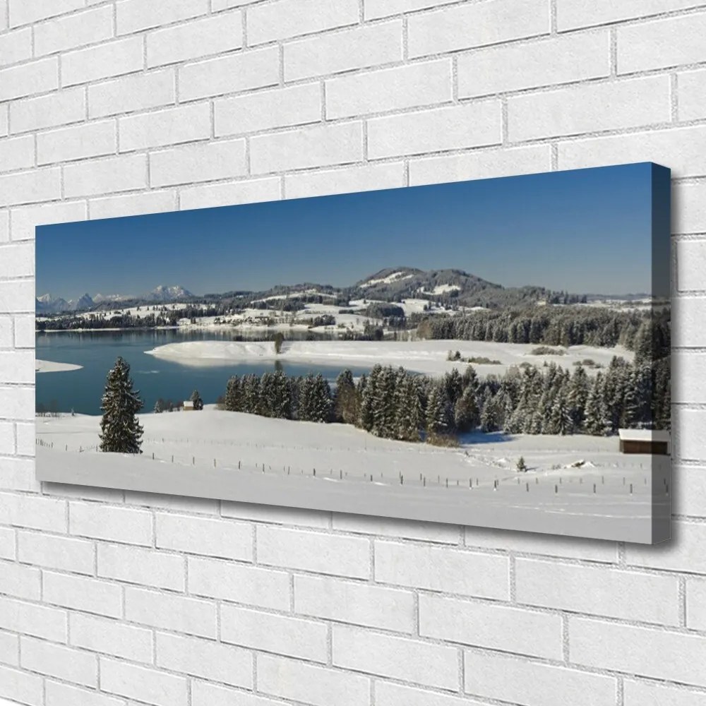 Obraz canvas na ścianę Lawendowy Zmierzch pod Drzewem