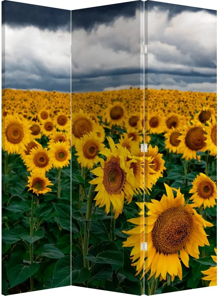 Parawan - Pole słoneczników (126x170 cm)