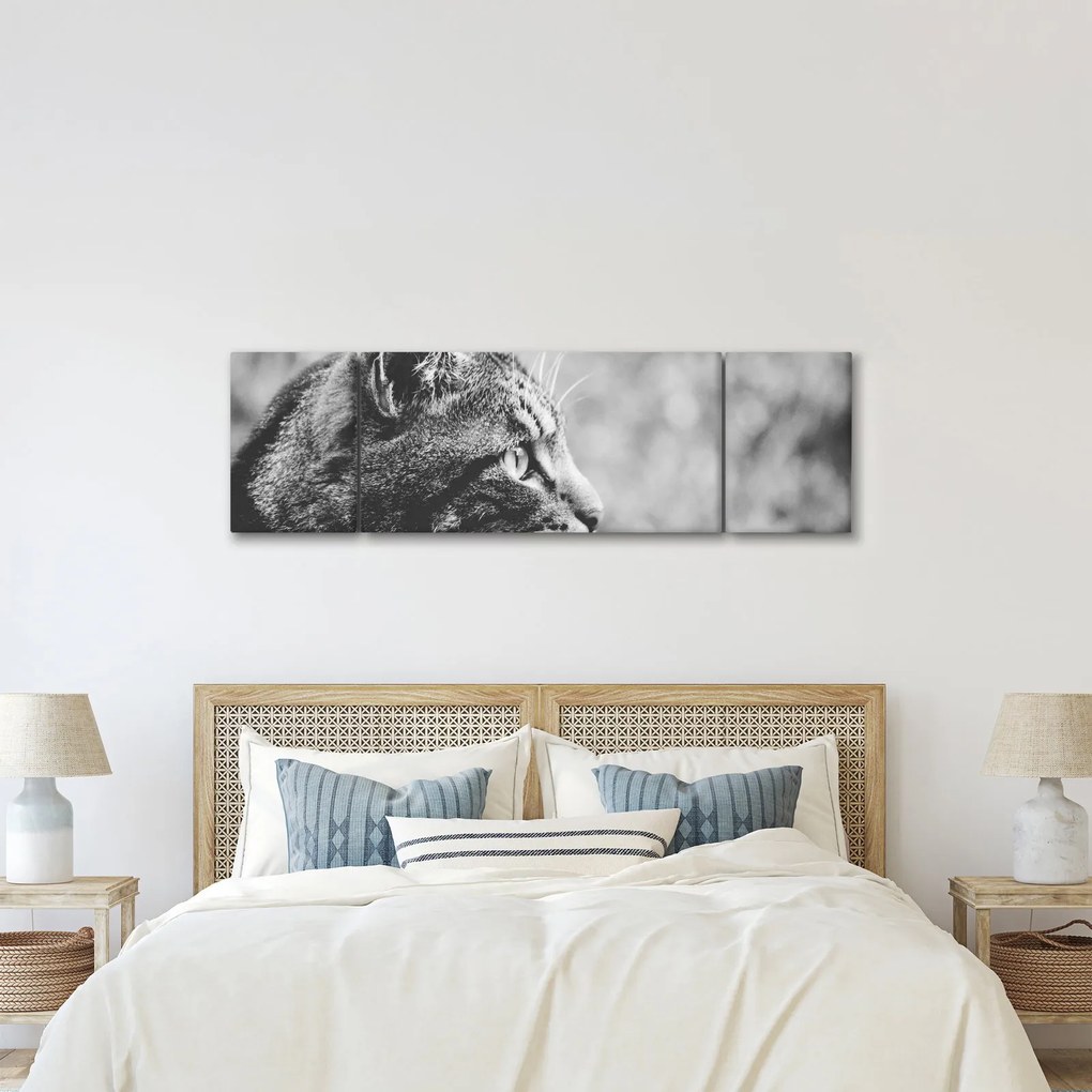 Obraz - Kot (170x50 cm)