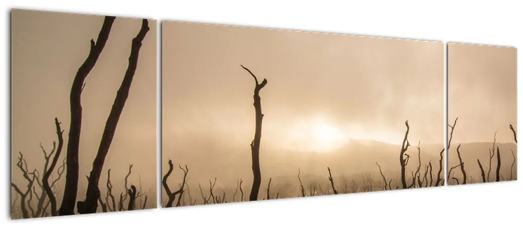 Obraz - Nagie drzewa (170x50 cm)