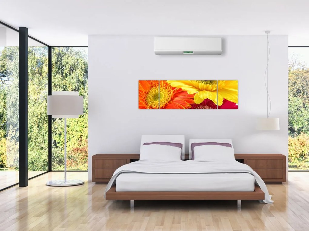 Obraz - Kwiaty Gerbery (170x50 cm)