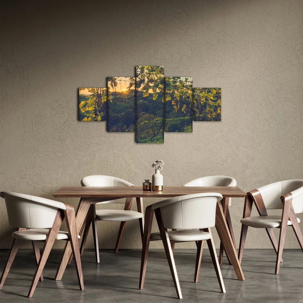 Obraz - Winnica (125x70 cm)