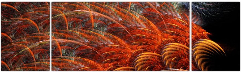 Obraz - Abstrakcyjna imitacja piór (170x50 cm)