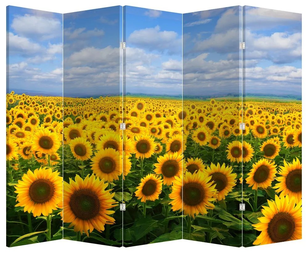 Parawan - Pole słoneczników (210x170 cm)