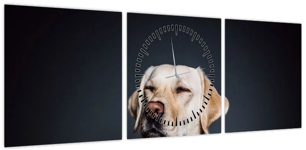 Obraz labradora (z zegarem) (90x30 cm)