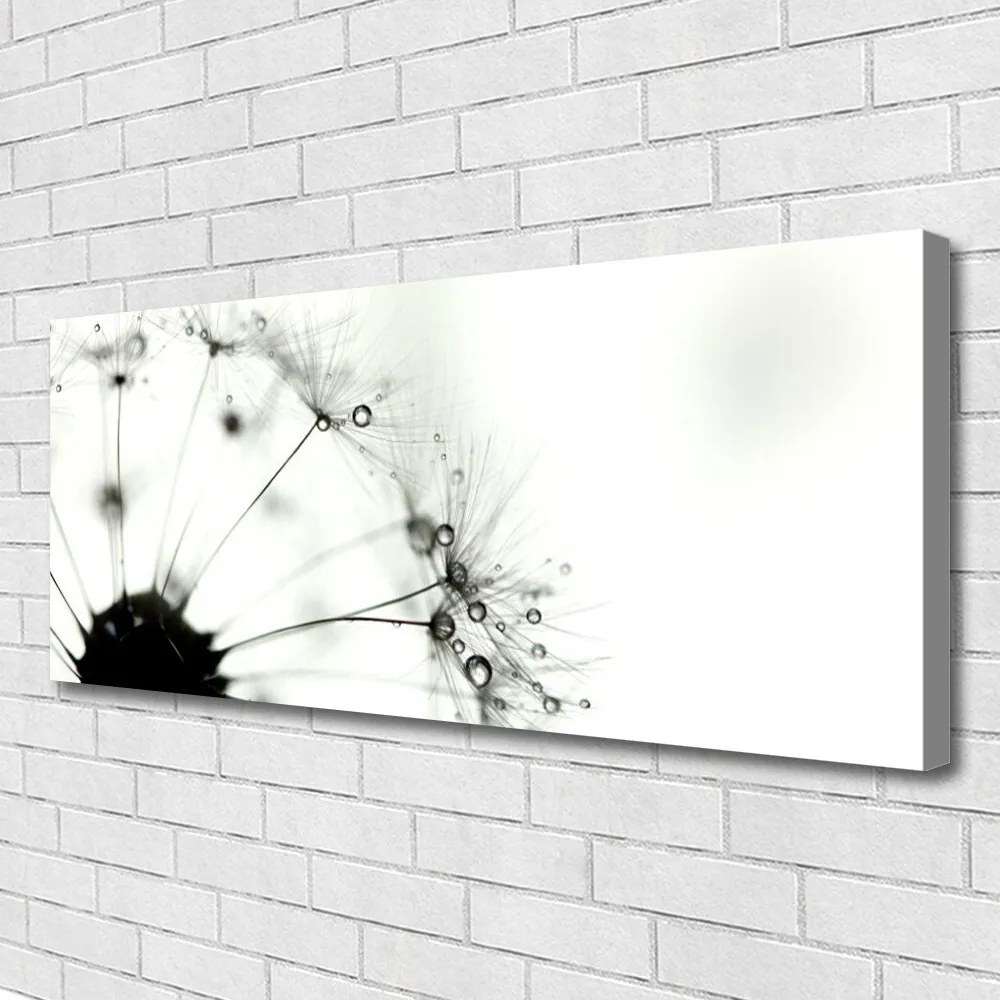 Obraz na płótnie Puszysta Kula Mniszka