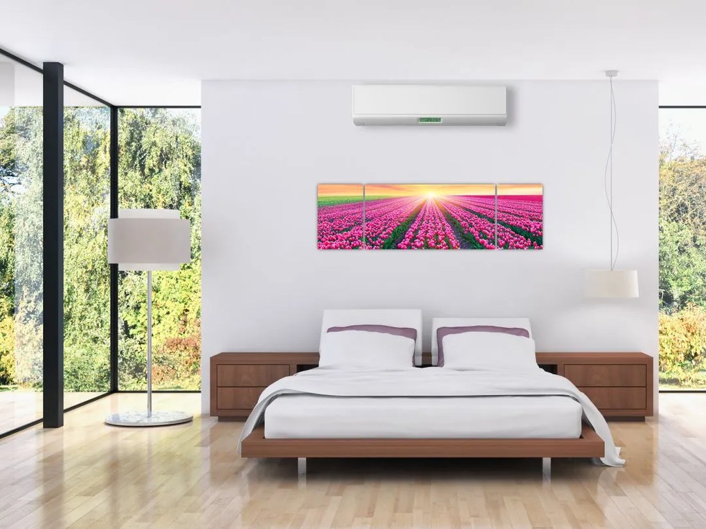 Obraz pole tulipanów ze słońcem (170x50 cm)