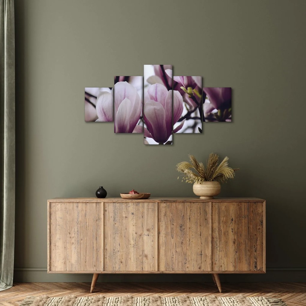 Obraz - Magnolia (125x70 cm)