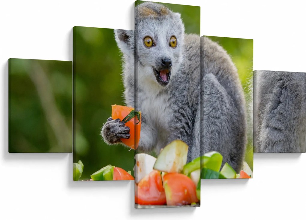 Obraz lemura (125x70 cm)