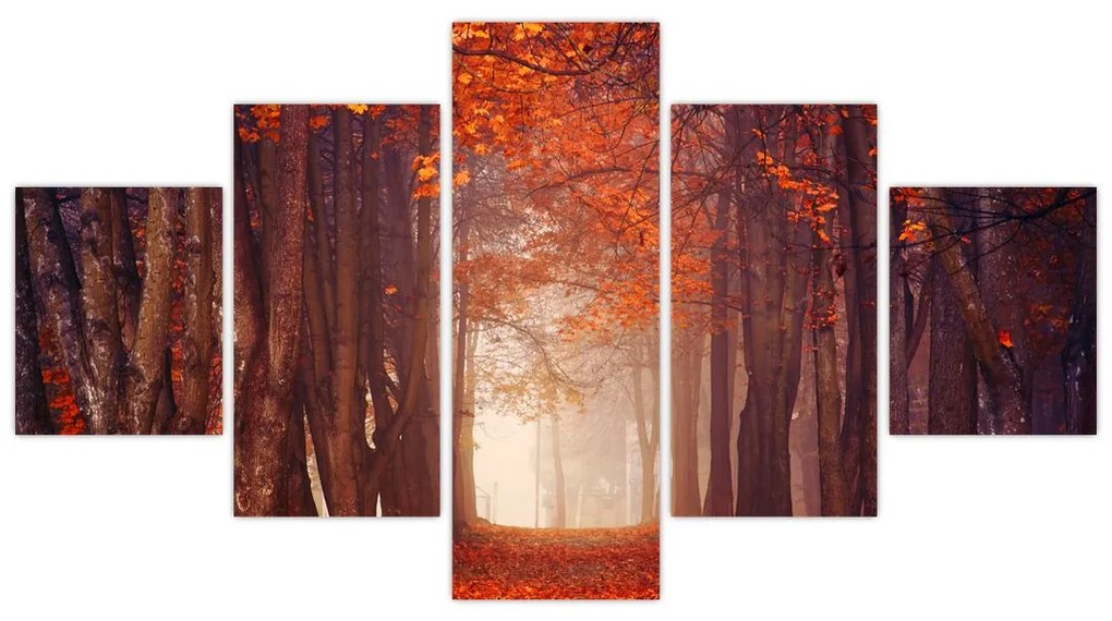 Obraz - Jesienny las (125x70 cm)