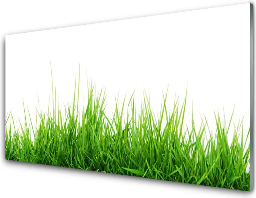 Panel nad blat kuchenny Naturalny Dywan Trawy