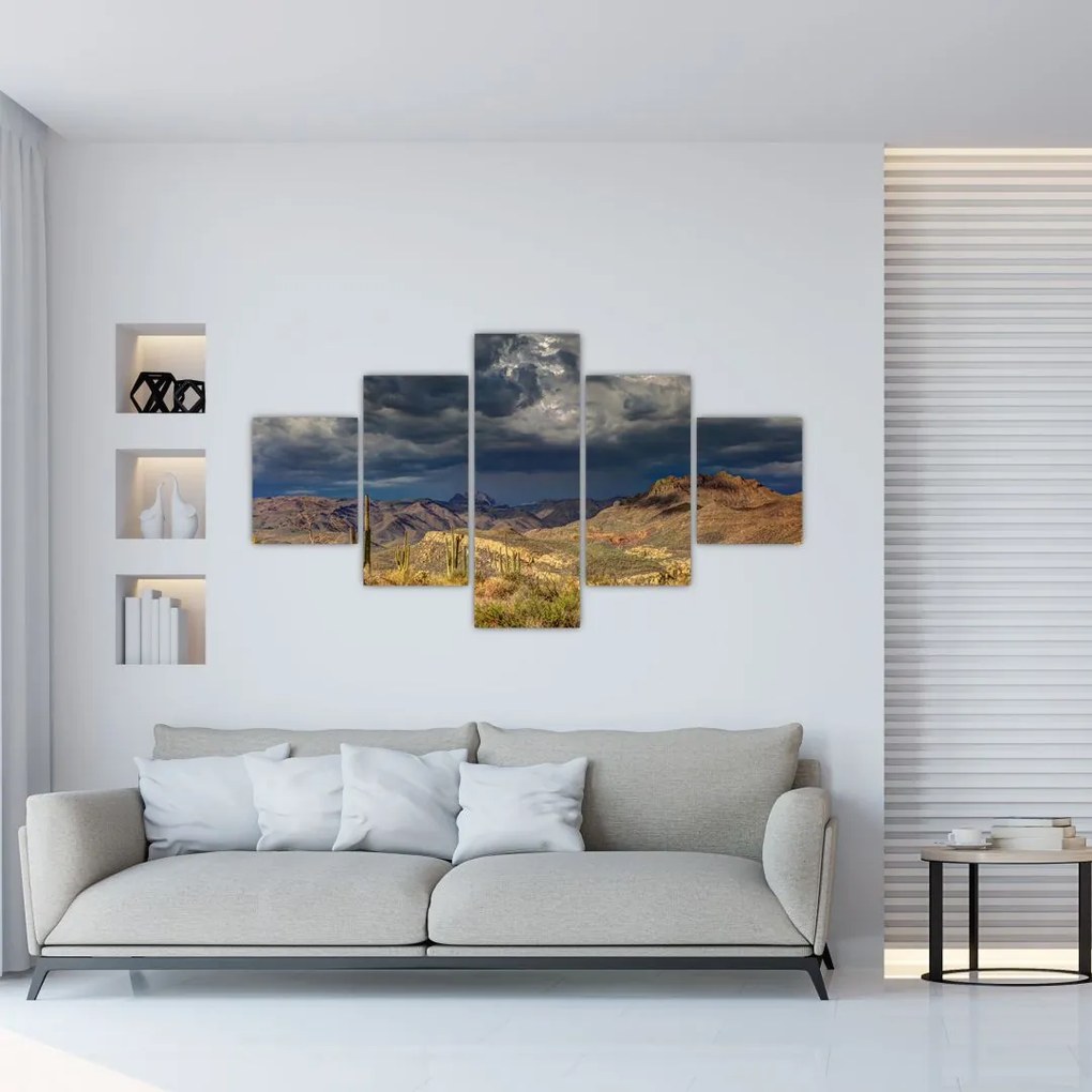 Obraz - kaktusy w przyrodzie (125x70 cm)