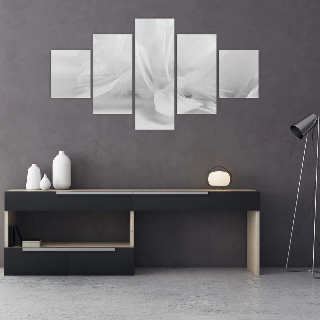 Obraz - Pióra (125x70 cm)