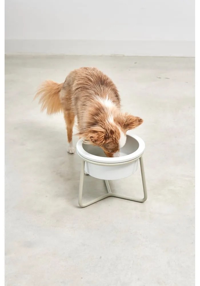 Porcelanowa miska ze stojakiem dla psów ø 20 cm Pranzo Greige M – MiaCara