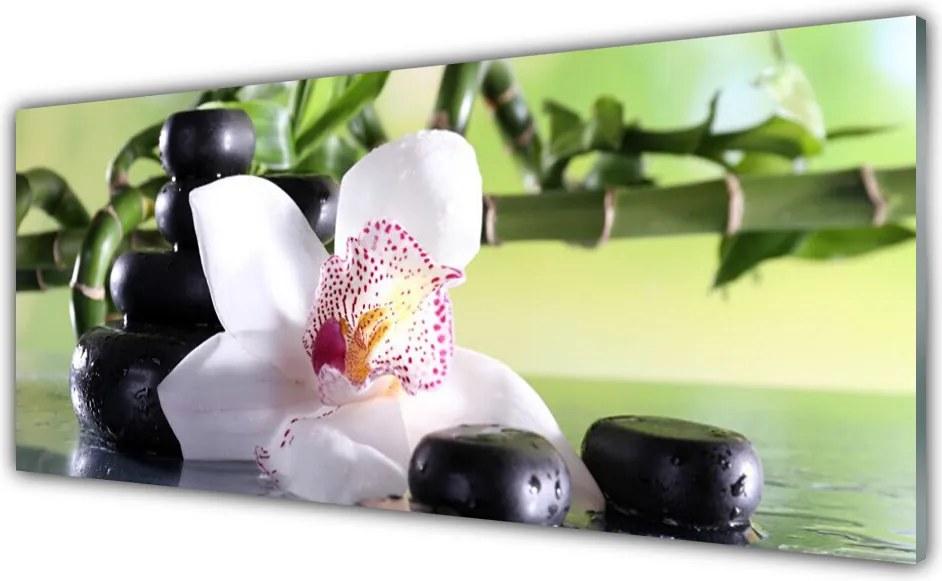 Szkło Dekoracyjne do Kuchni Azjatycka Równowaga Elementów