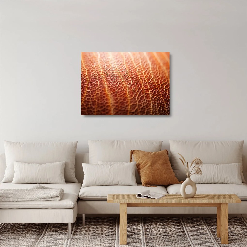 Obraz na szkle - Szczegóły tekstury (70x50 cm)