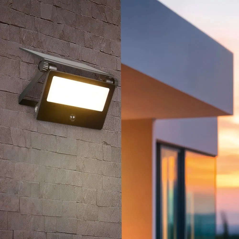 Lampa zewnętrzna ścienna LED z czujnikiem ruchu solarna (wysokość 15,5 cm) Moura – Trio