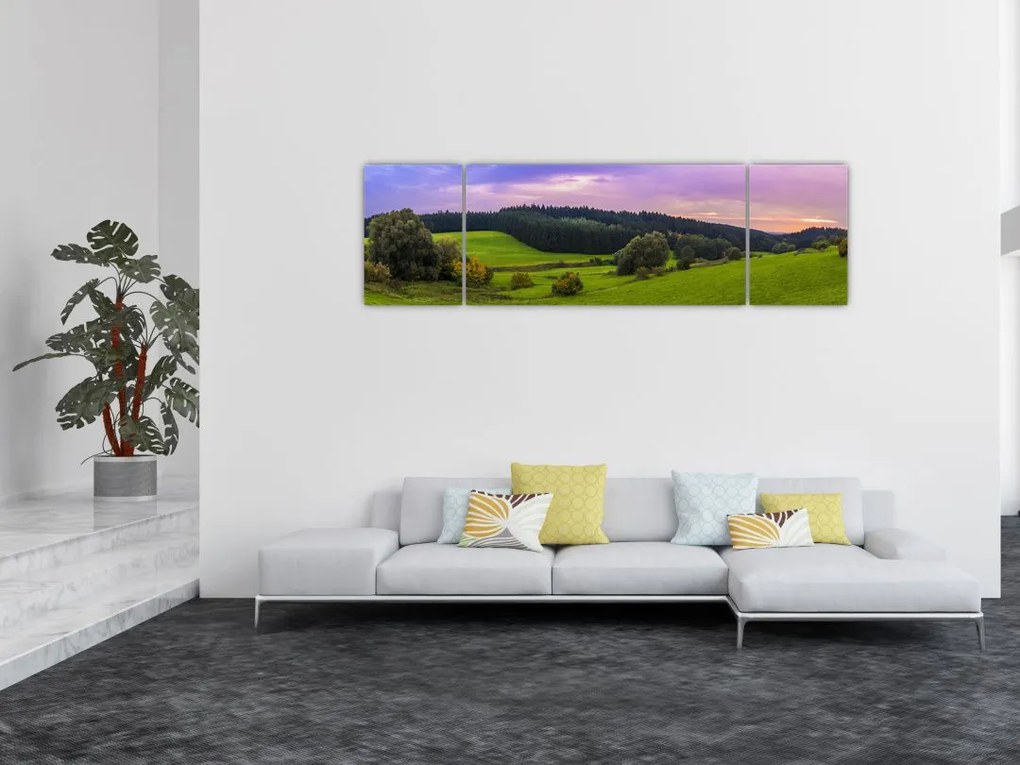 Obraz łąki (170x50 cm)