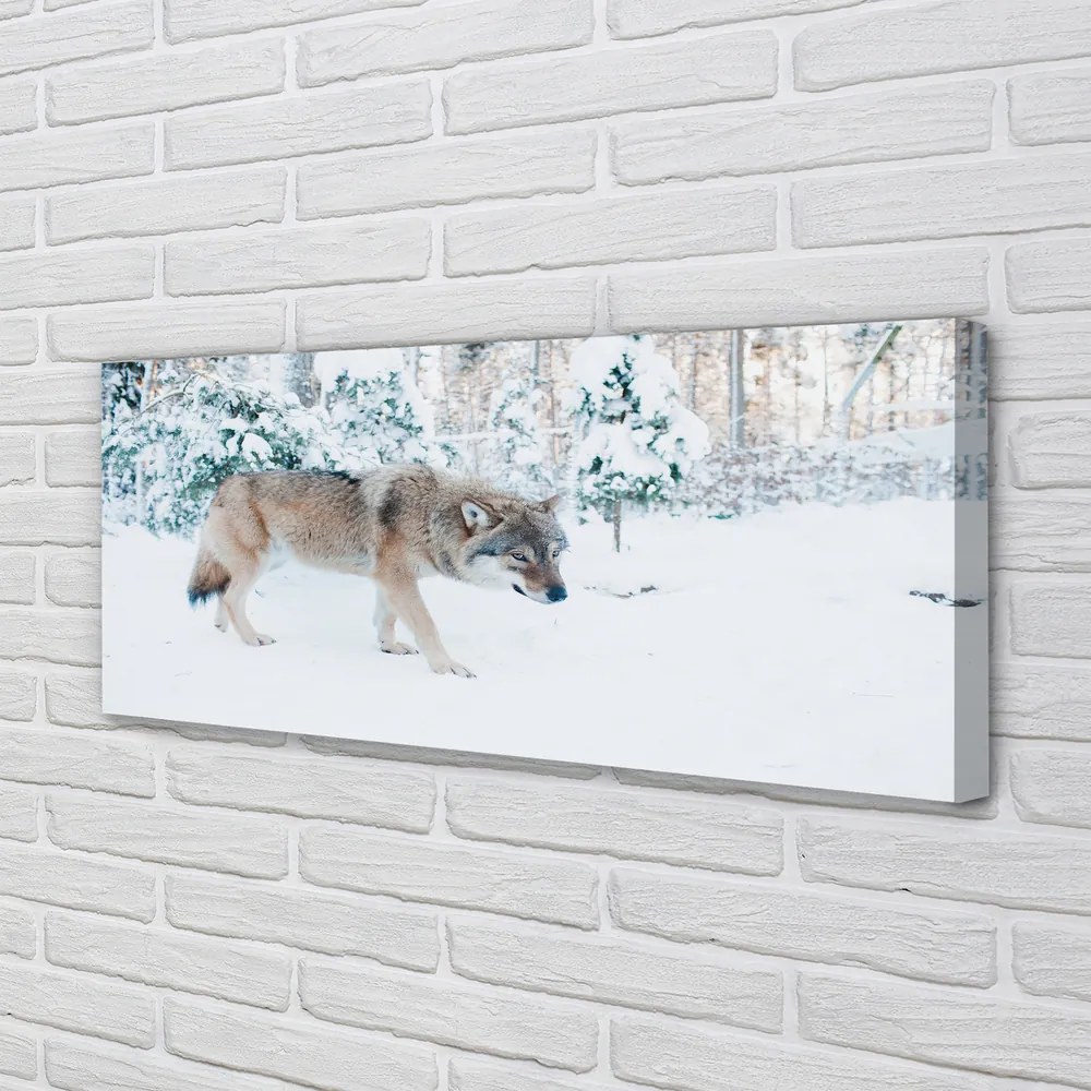 Obraz drukowany na płótnie Zimowa Sceneria z Wilkiem
