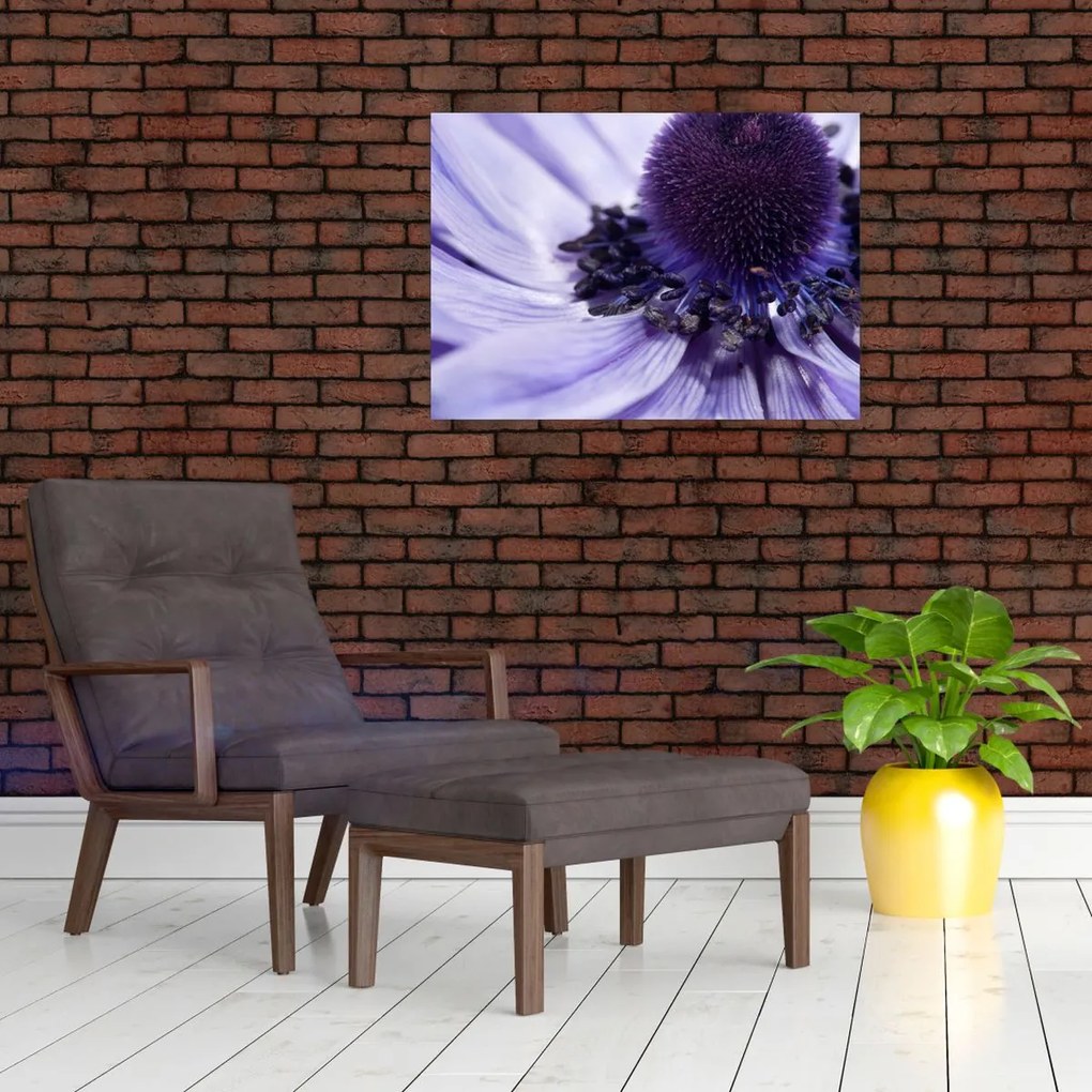 Obraz - Fioletowy kwiat (70x50 cm)