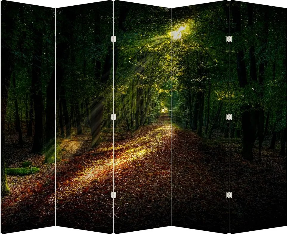 Parawan - Ścieżka leśna (210x170 cm)