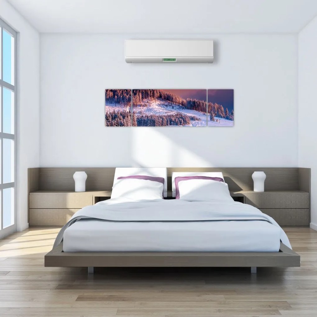 Obraz zimowego krajobrazu (170x50 cm)