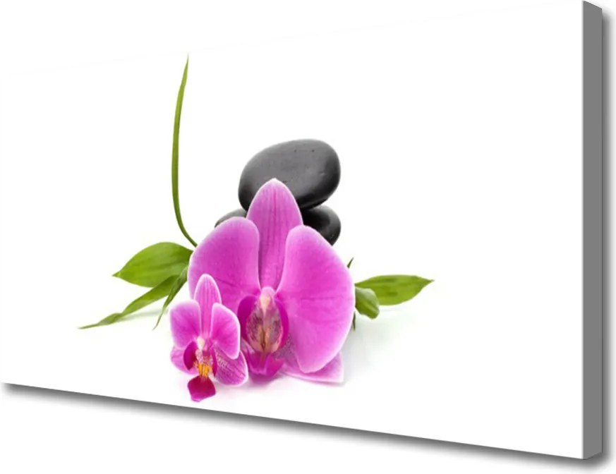 Zdjęcie na płótnie Spokój Zen: Kwiatowa Harmonia