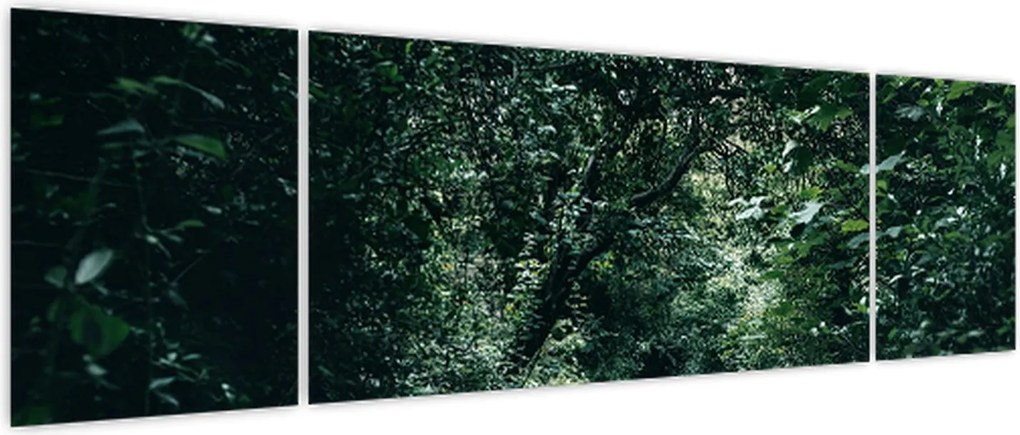 Obraz - Ścieżka przez las (170x50 cm)