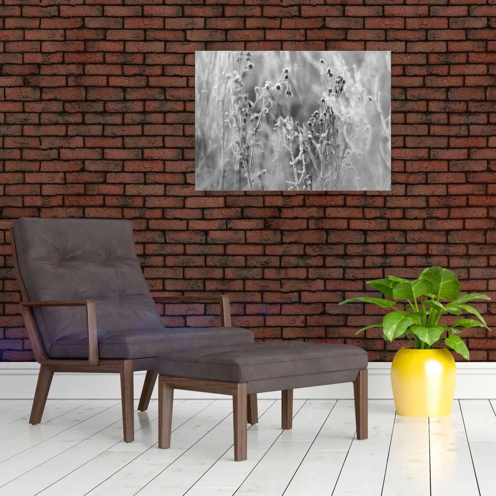 Obraz na szkle - Dzika łąka (70x50 cm)