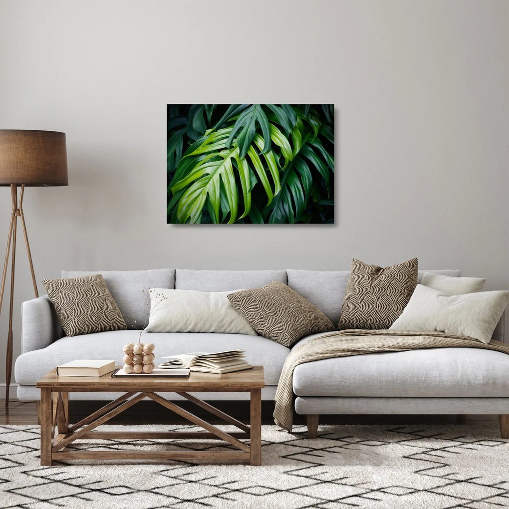 Obraz na szkle - Tropikalne liście (70x50 cm)