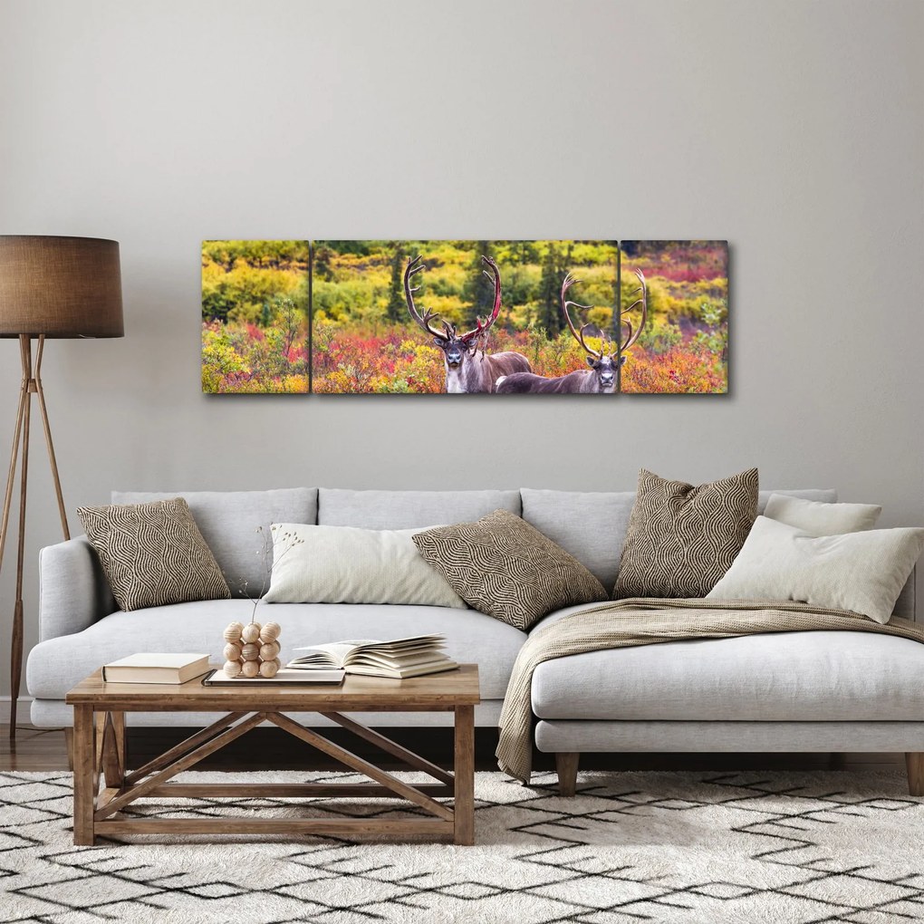 Obraz - Renifer tundrowy (170x50 cm)