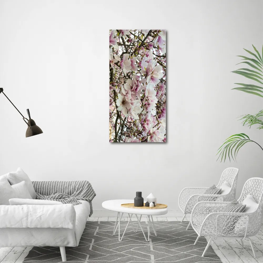 Foto obraz na szkle Kwiaty magnolii