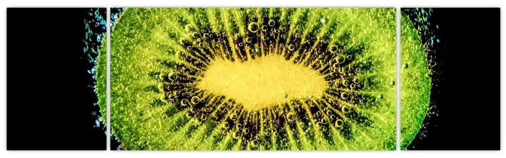 Obraz - szczegół kiwi w wodzie (170x50 cm)