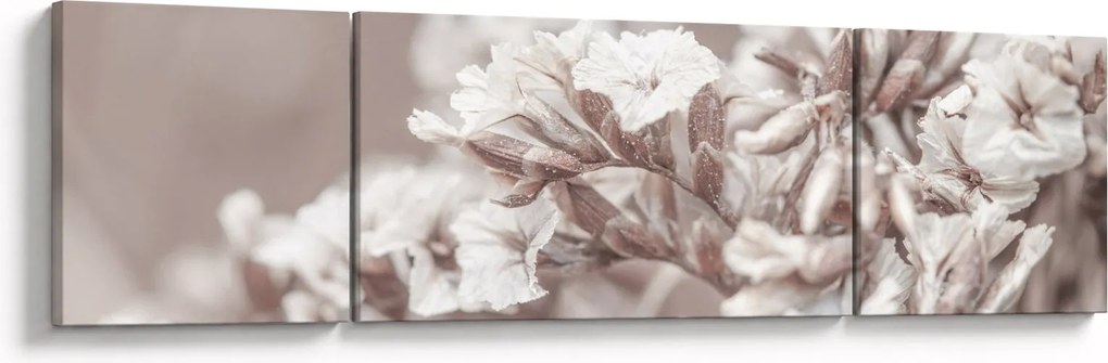 Obraz - Szczegół gałązek (170x50 cm)