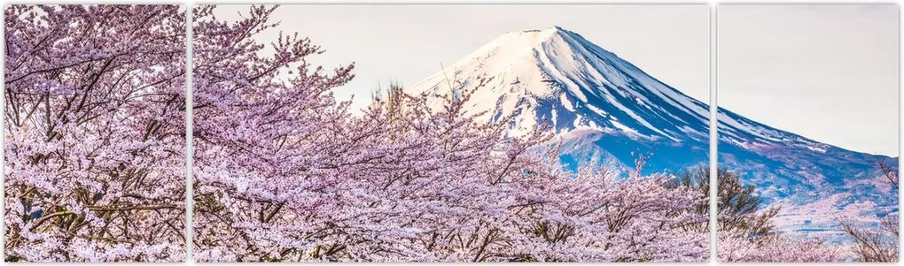 Obraz - Japonia wiosną (170x50 cm)
