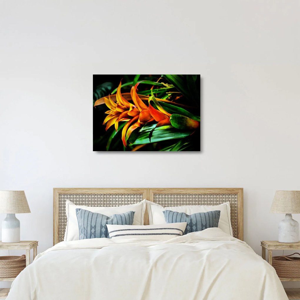 Obraz na szkle pomarańczowego kwiatu (70x50 cm)