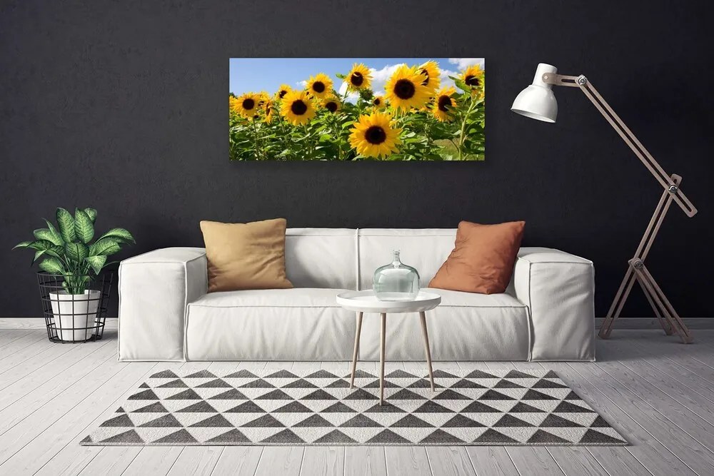 Zdjęcie na płótnie Złoty Słonecznik w Słońcu
