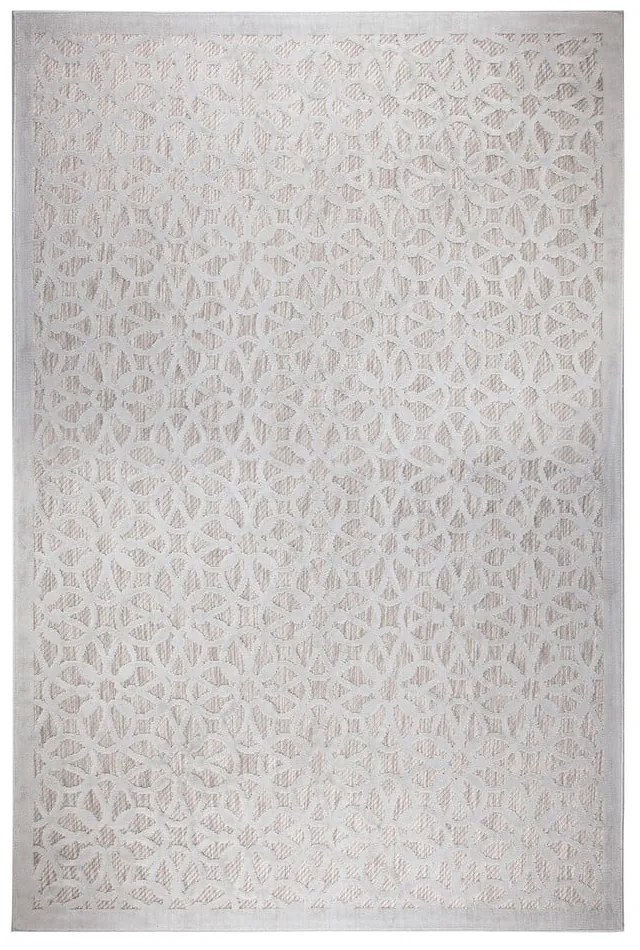 Szary dywan odpowiedni na zewnątrz 150x80 cm Argento – Flair Rugs