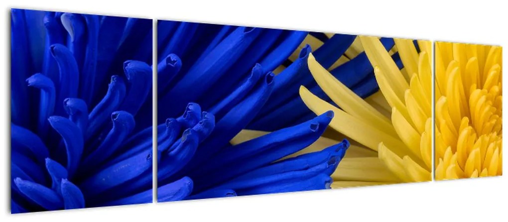 Obraz - szczegóły kwiatów (170x50 cm)
