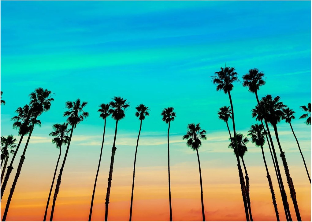 Obraz - Kalifornia (70x50 cm)