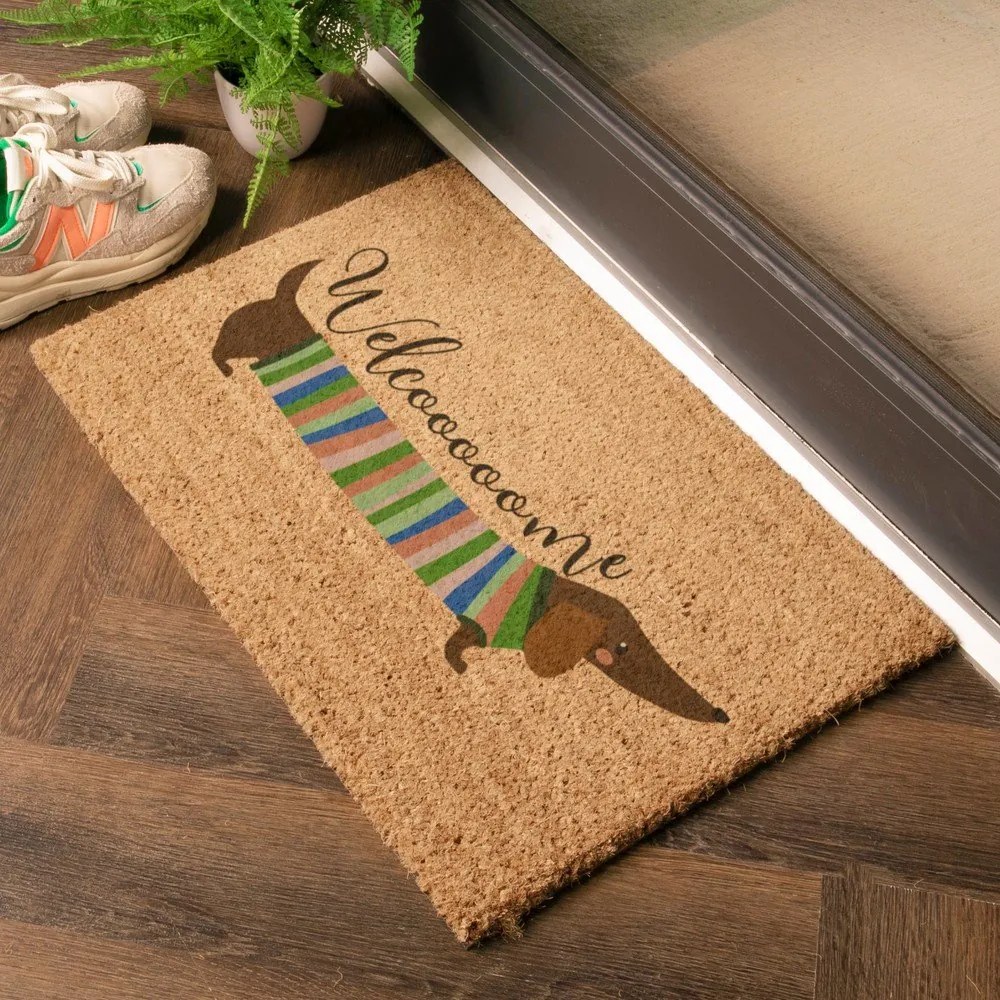 Wycieraczka z włókna kokosowego 40x60 cm Welcome Sausage Dog – Artsy Doormats