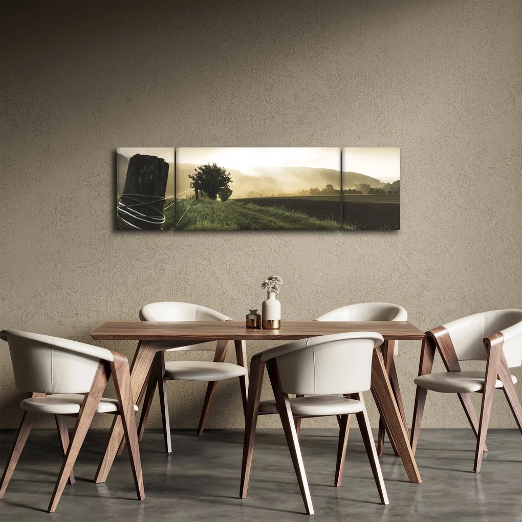 Obraz łąki (170x50 cm)