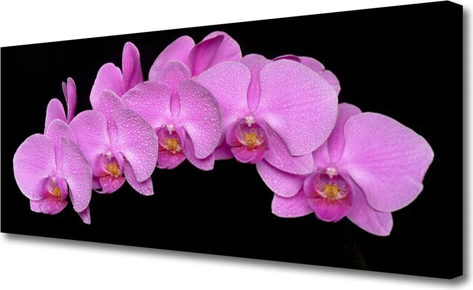 Zdjęcie na płótnie Rozkwitająca Łąka Ścienna