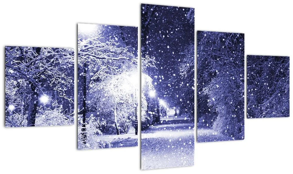 Obraz - Magiczna zimowa noc (125x70 cm)