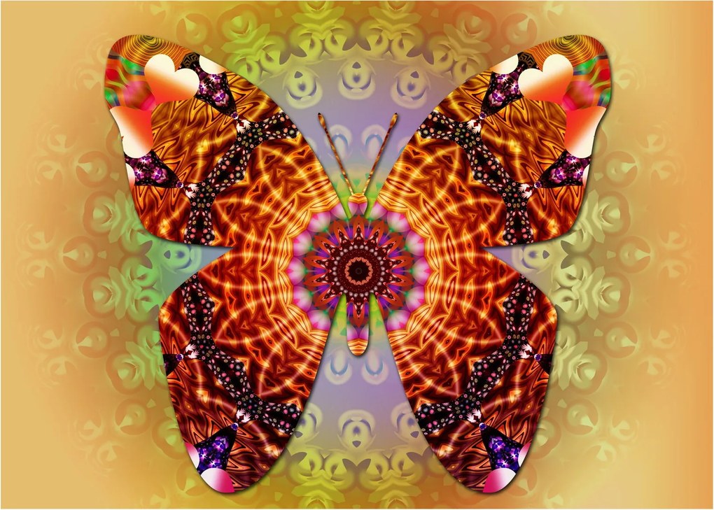 Obraz - Etno motyl (70x50 cm)