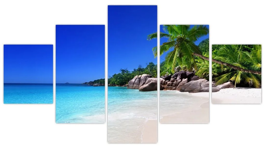 Obraz plaży na wyspie Praslin (125x70 cm)