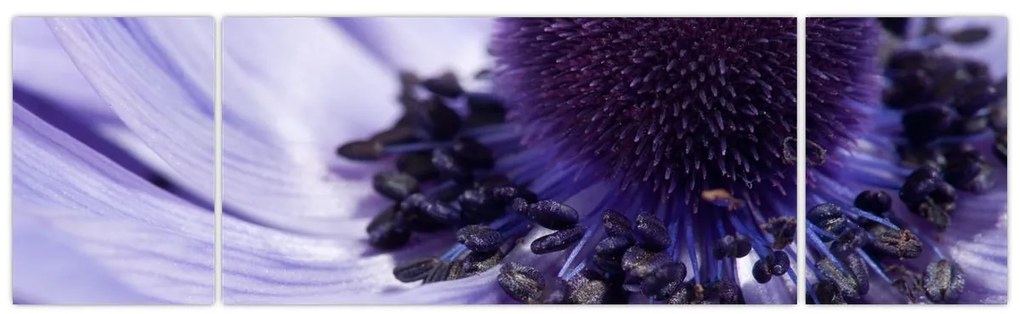 Obraz - Fioletowy kwiat (170x50 cm)