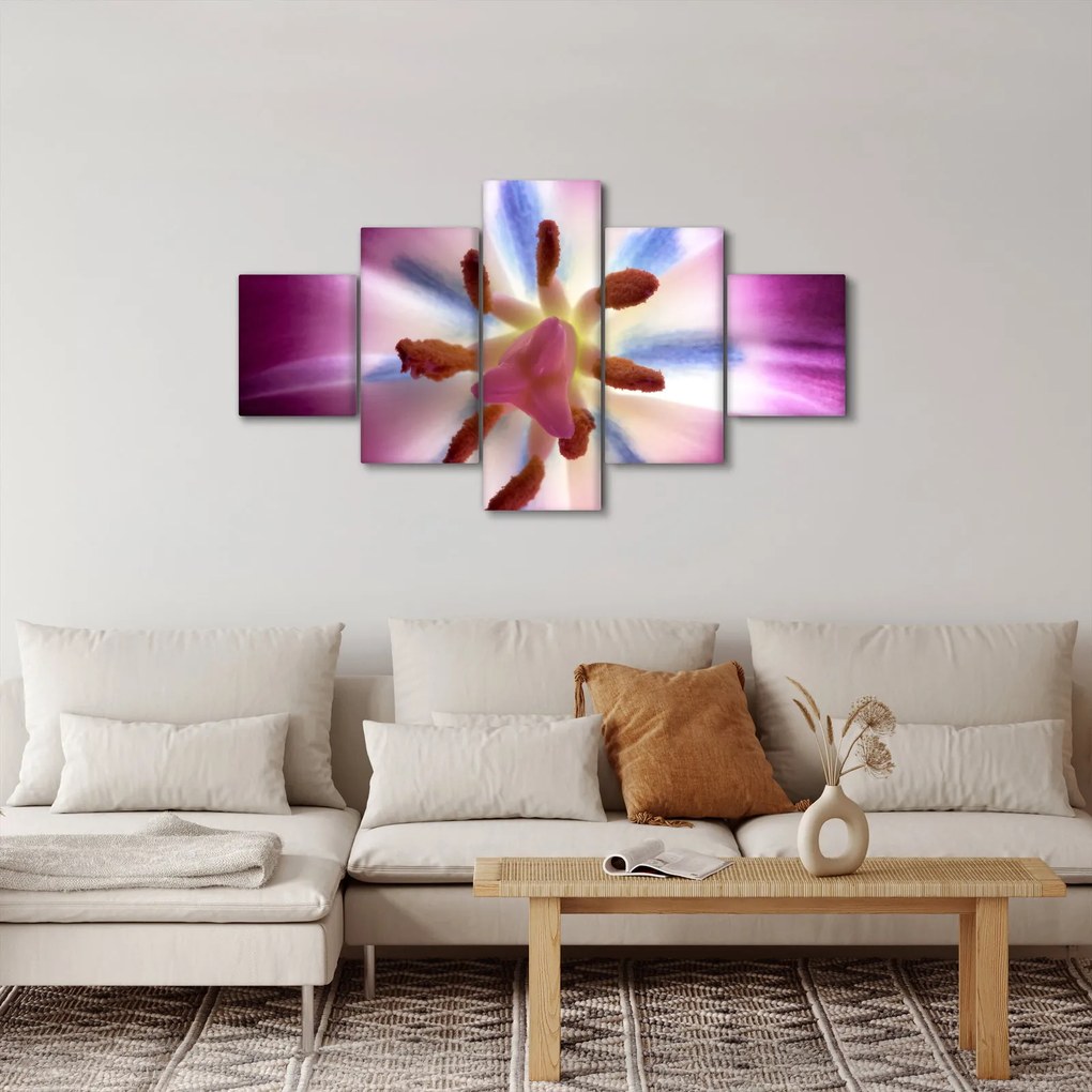 Obraz - Kwiat tulipana w szczegółach (125x70 cm)