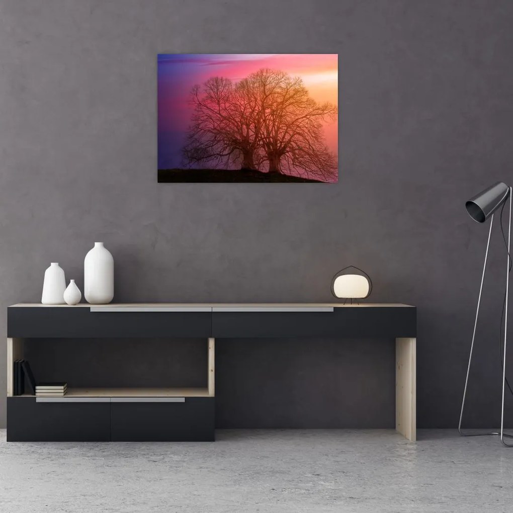 Obraz na szkle - drzewa we mgle (70x50 cm)